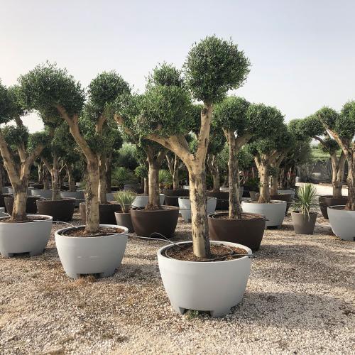 Ref271 Pompón Bola decopot 310lEuropaea Pompom Bola Decopots 310lt